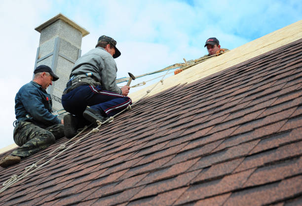 Best Roof Restoration Services  in Morrisville, VT